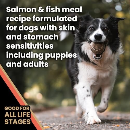 Victor - Sensitive Skin And Stomach, Salmon Meal And Brown Rice Recipe, Dry Dog Food, 15-Lb Bag