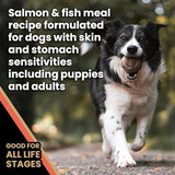 Victor - Sensitive Skin And Stomach, Salmon Meal And Brown Rice Recipe, Dry Dog Food, 5-Lb Bag