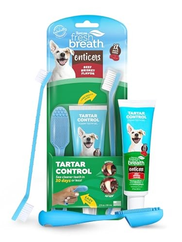 TropiClean Fresh Breath Beef Brisket Flavor Tooth Brushing Kit for Dogs