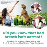 TropiClean Fresh Breath Beef Brisket Flavor Tooth Brushing Kit for Dogs