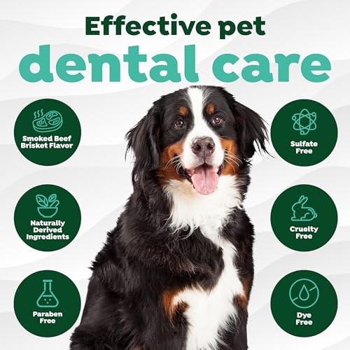 TropiClean Fresh Breath Beef Brisket Flavor Tooth Brushing Kit for Dogs