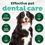 TropiClean Fresh Breath Beef Brisket Flavor Tooth Brushing Kit for Dogs