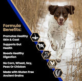 Victor Super Premium Dog Food Sensitive Skin & Stomach Beef & Brown Rice 15 lb