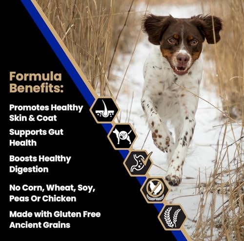 Victor Super Premium Dog Food Sensitive Skin & Stomach Beef & Brown Rice 5 lb