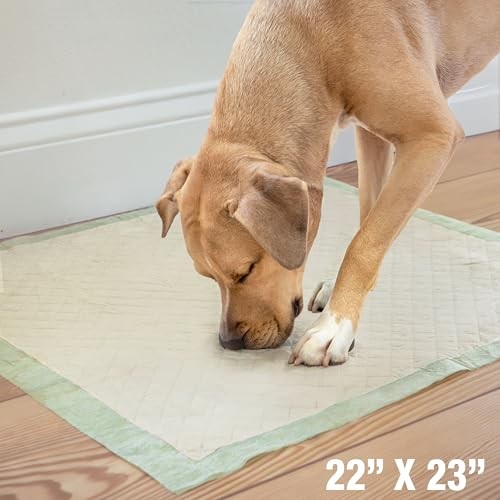 Four Paws Wee-Wee Superior Performance Bamboo Earth Friendly Dog & Puppy Training Pads