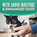 Natural Balance Limited Ingredient Chicken & Sweet Potato Pate in Broth Wet Cat Food, 2.6 oz.