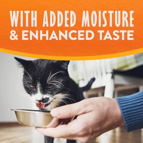 Natural Balance Limited Ingredient Reserve Duck & Sweet Potato Pate in Broth Wet Cat Food, 2.6 oz.