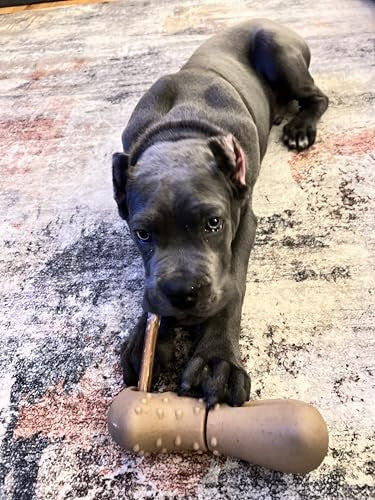 Tall Tails Bully Stick Holder And Chew Toy For Dogs – Bacon-Scented, X-Large, Adjustable Treat Holder For Bully Sticks And Spreadable Treats