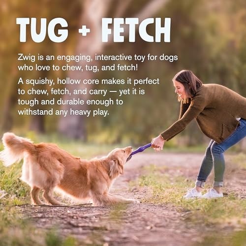 Zampa Occidentale West Paw Zogoflex Echo Zwig Squeezy Dog Fetching Stick - Bouncy Hollow Squishy Interactive Toy For Puppies Large Dogs - Floatable Stick Lightweigh