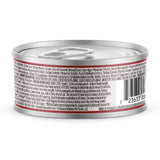 Natural Balance Ultra Protein Chicken Recipe with Organs Pate Wet Cat Food, 2.8 oz.