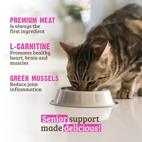 Rawz Natural Premium Pate Salmon & Green Mussels Senior Wet Cat Food, 5.5 oz.