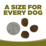 PureVita Duck & Kale Grain-Free Dry Dog Food, 4 lbs.