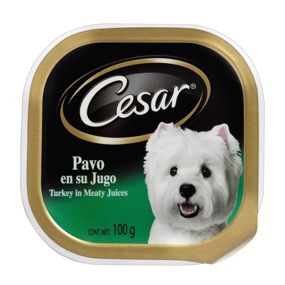 Cesar Turkey Wet Dog Food, 3.5 oz.