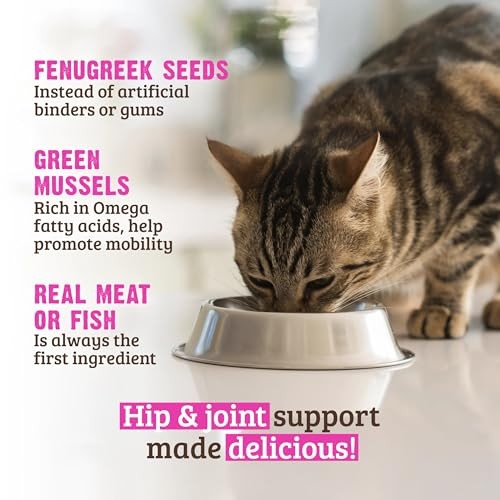Rawz Hip & Joint Support Chicken & Green Mussels Wet Cat Food, 5.5 oz.