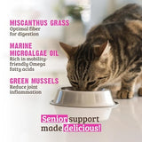 Rawz Natural Premium Pate Chicken & Green Mussels Senior Wet Cat Food, 5.5 oz.