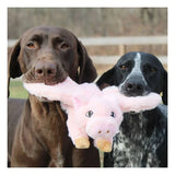 Tall Tails Flying Pig Dog Toy
