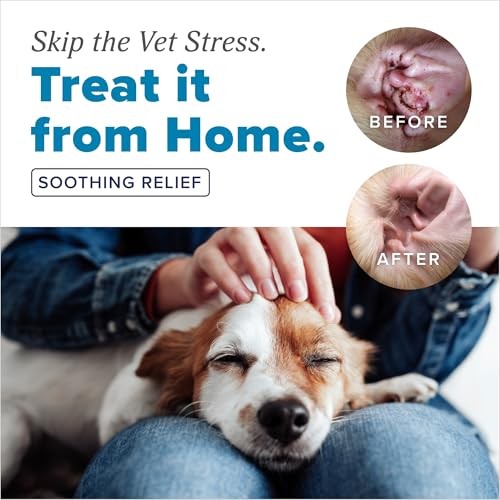 TropiClean HomeVet Medicated Fungal & Yeast Ear Drops for Dogs, 1 oz.