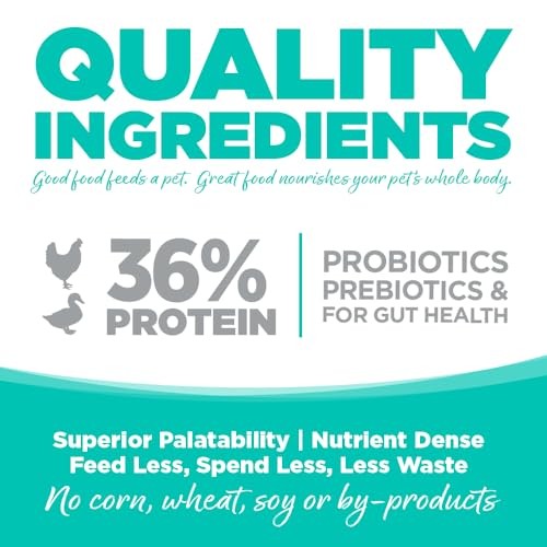 NutriSource Country Select Grain-Free Cat & Kitten Food, 12 lbs.