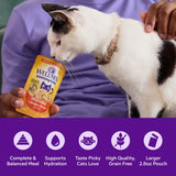 Wellness Appetizing Entrees Mousse Chicken & Lamb Wet Cat Food, 2.8 oz.