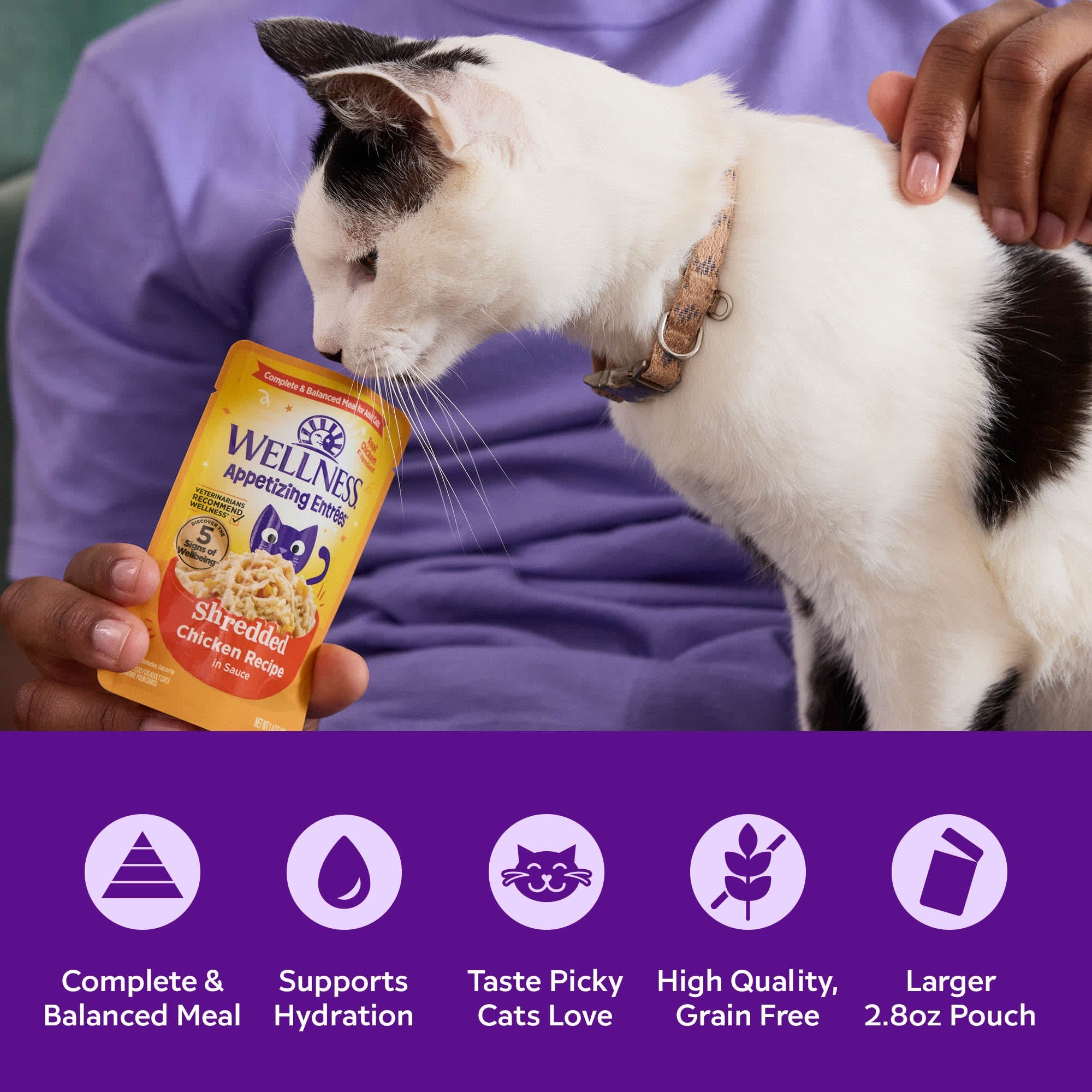 Wellness Appetizing Entrees Mousse Chicken & Lamb Wet Cat Food, 2.8 oz.