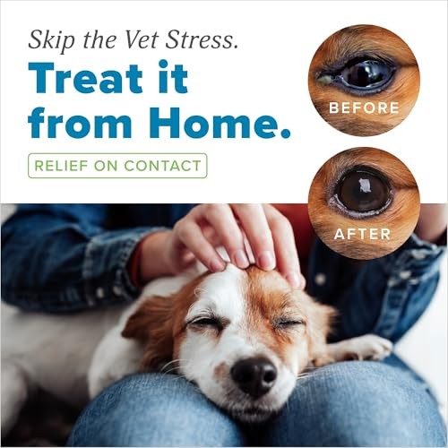 TropiClean HomeVet Soothing Eye Wash for Dogs & Cats, 4 oz.