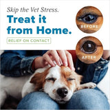 TropiClean HomeVet Soothing Eye Wash for Dogs & Cats, 4 oz.