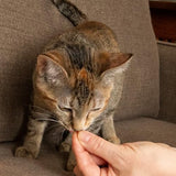 Nothin' To Hide Tuna Flavor Crunchy & Creamy Collagen Cat Treats, 3 oz.