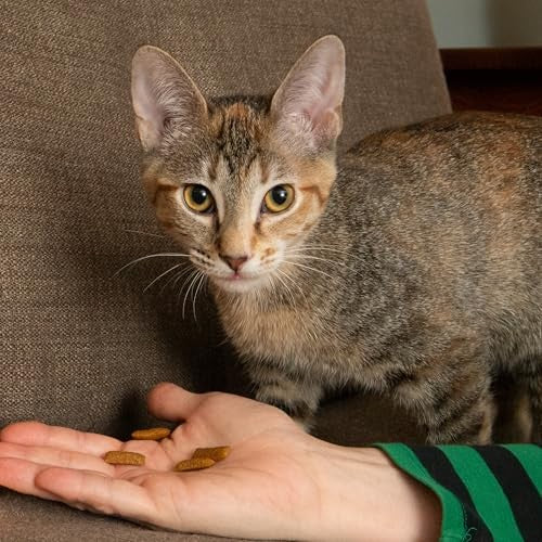 Nothin' To Hide Tuna Flavor Crunchy & Creamy Collagen Cat Treats, 3 oz.