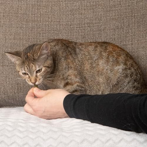 Nothin' To Hide Tuna Flavor Crunchy & Creamy Collagen Cat Treats, 3 oz.