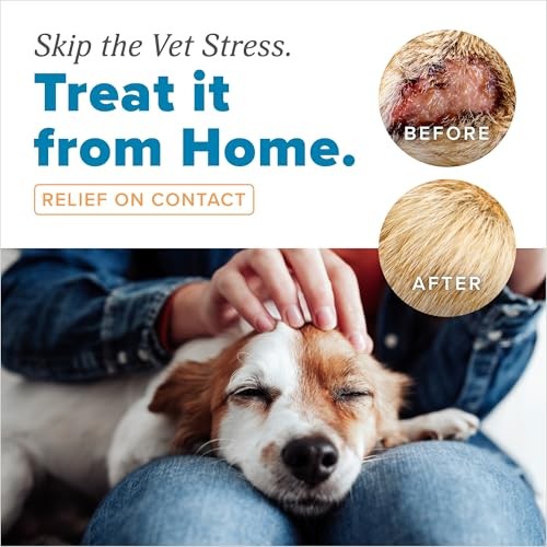 TropiClean HomeVet Medicated Fast Itch Relief Cream, 1 oz.