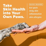 TropiClean HomeVet Allergy & Itch Relief Spray for Dogs & Cats, 8 oz.