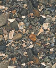 Choice Brands Unlimited Eco-Complete African Cichlid Sand, 20 lbs.