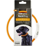 Coastal USB Light-Up Neck Ring for Cats, 16 in.