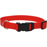Coastal Red Adjustable Nylon Dog Collar, 1 x 14-20 in.