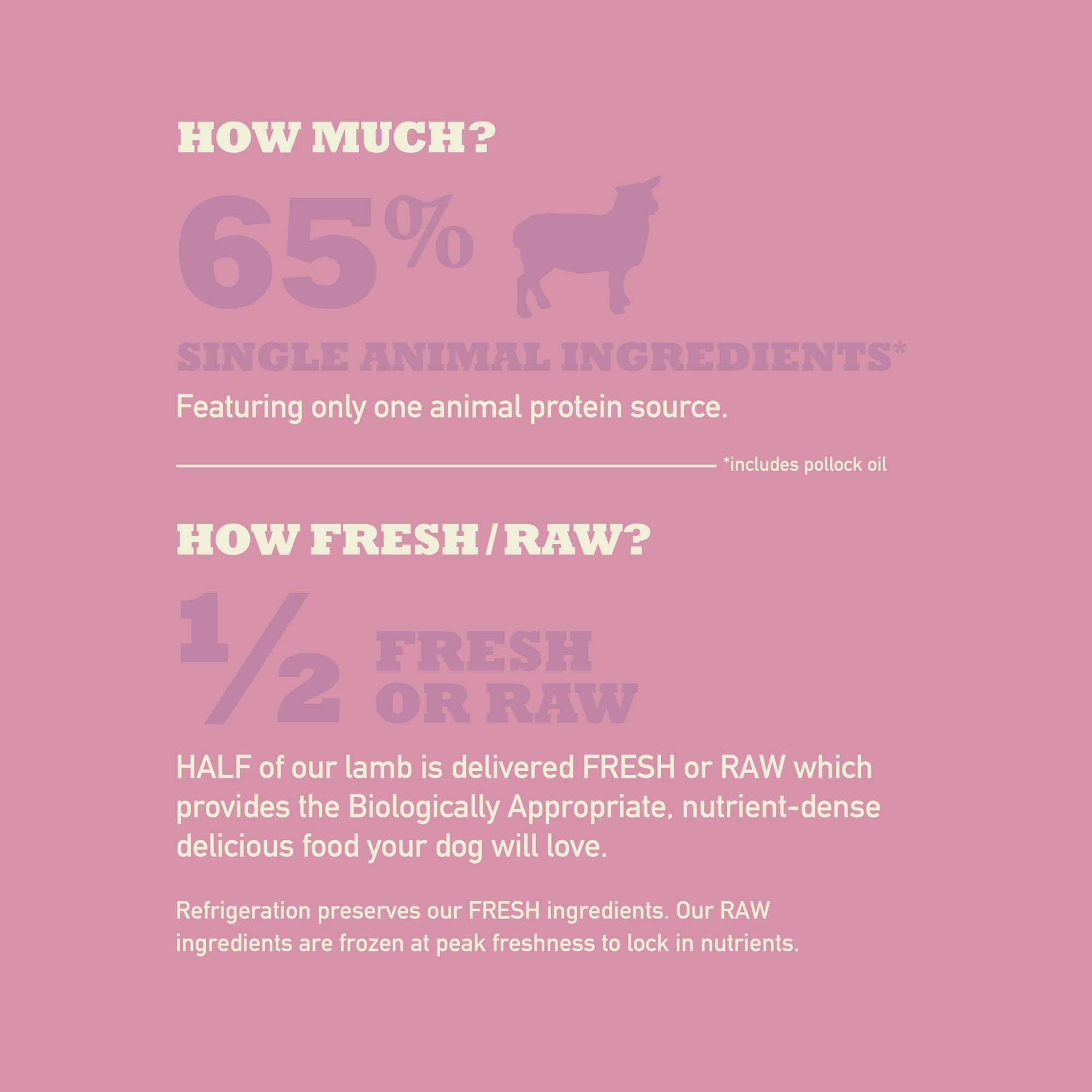 Acana Lamb & Apple Dry Dog Food, 22.5 lbs Bag