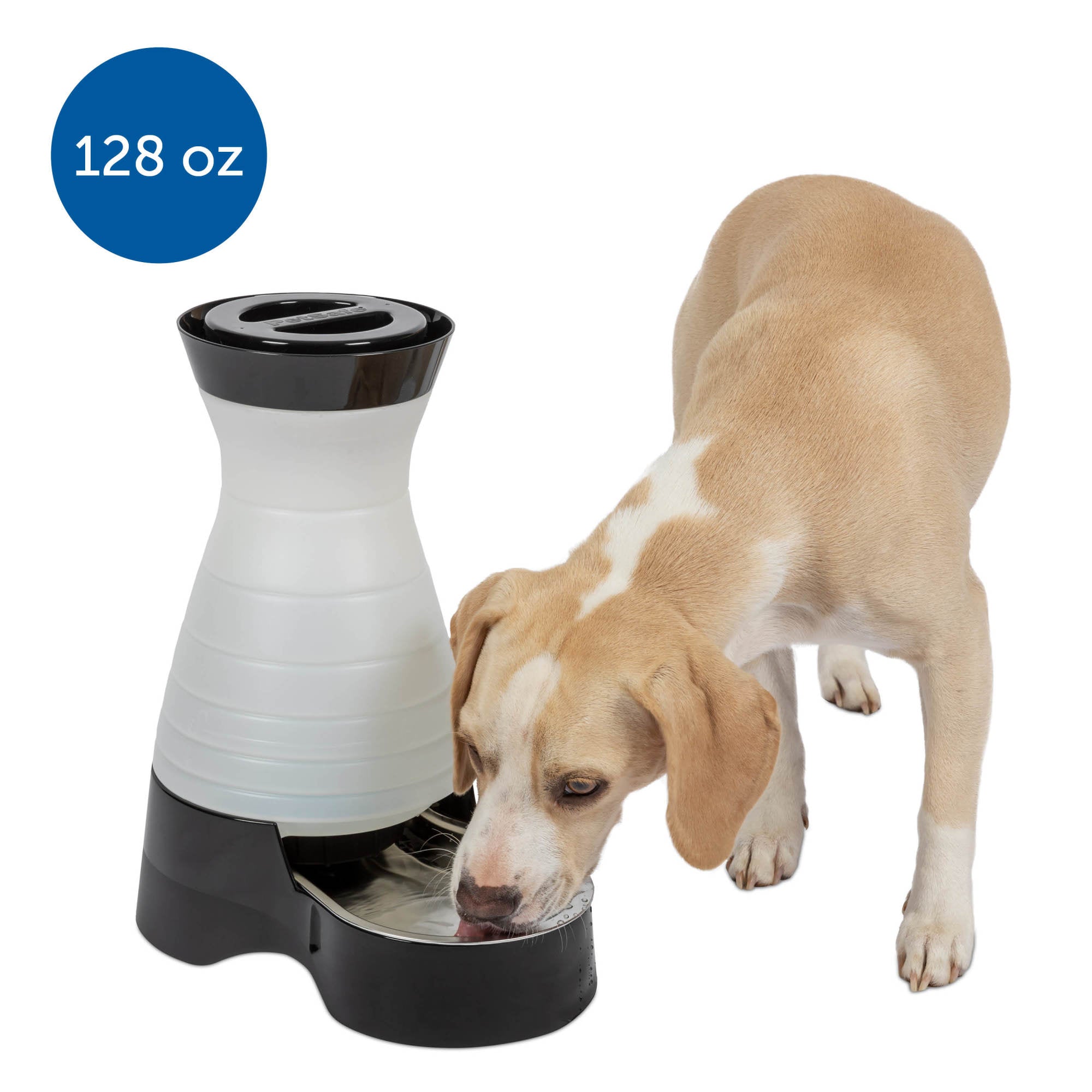 PetSafe Healthy Pet Water Station, 1 Gallon