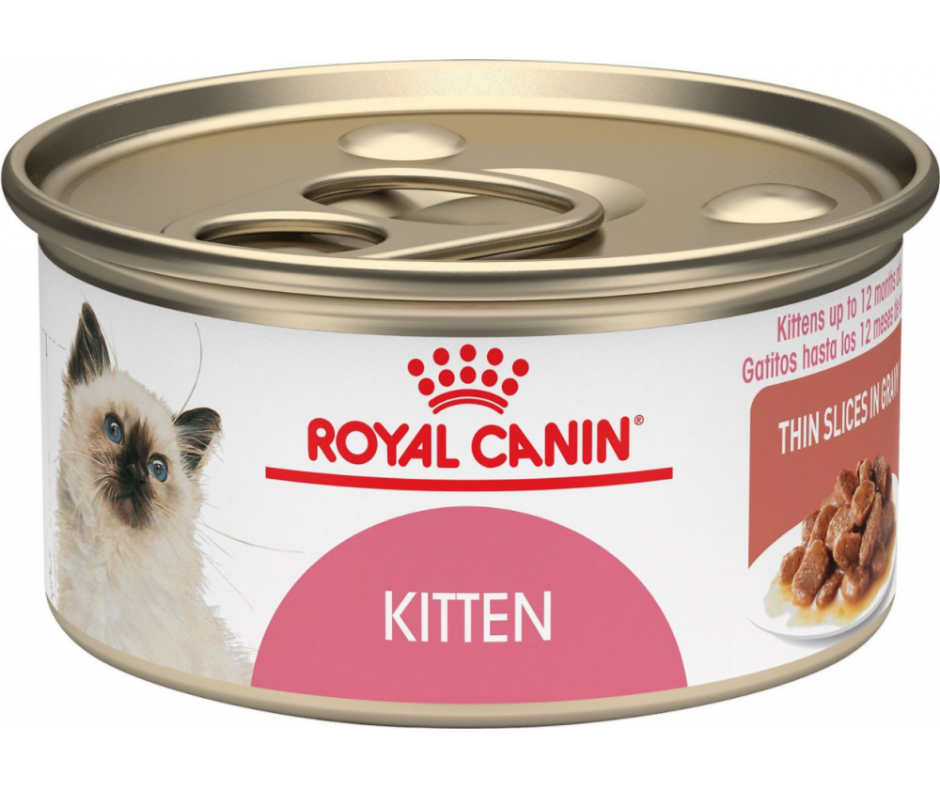 Royal Canin Kitten Thin Slices in Gravy Wet Cat Food, 3 oz.