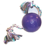 Jolly Pets Romp-n-Roll Purple Rubber Ball with Rope Dog Toy, 4.5 in.