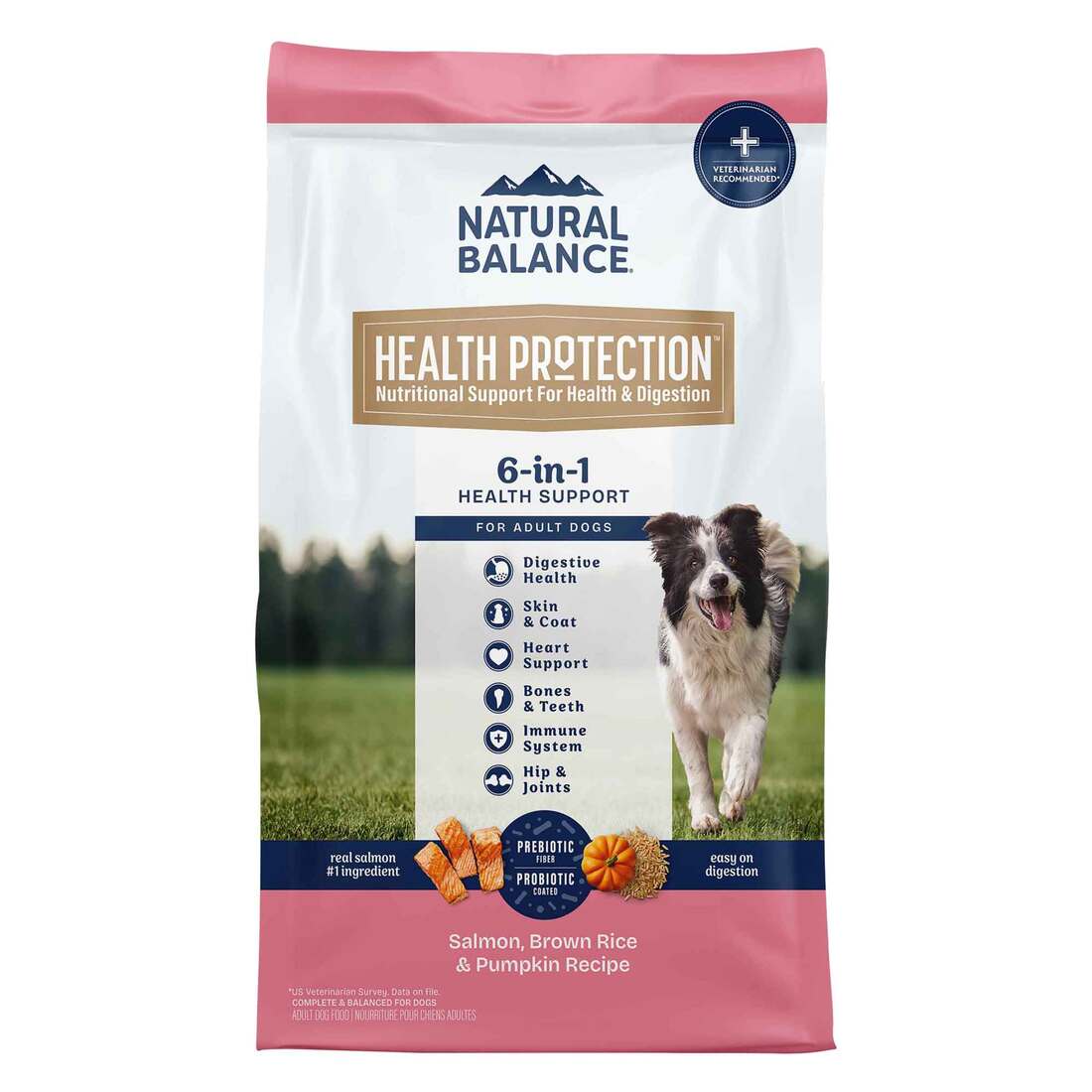 Natural Balance Whole Body Health Easy Digestion Salmon, Brown Rice & Pumpkin Dry Dog Food, 22 lbs.