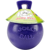 Jolly Pets Tug-n-Toss Interactive Dog Toy
