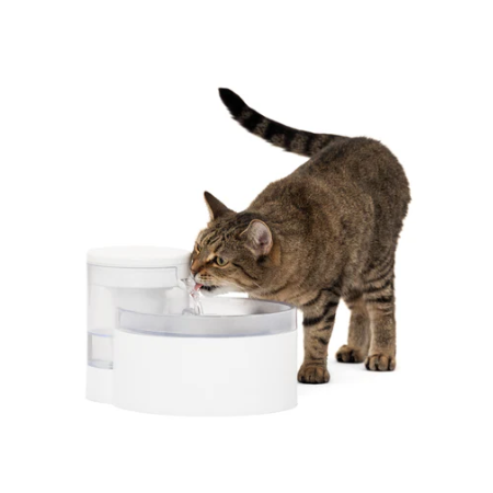 PetSafe Outlast Pumpless Cat Water Fountain, 60 oz.