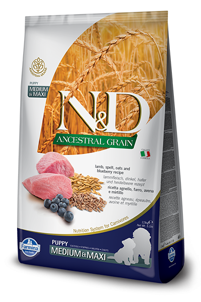 Farmina N&D Ancestral Grain Lamb & Blueberry Dry Puppy Food, 26.4 lbs.
