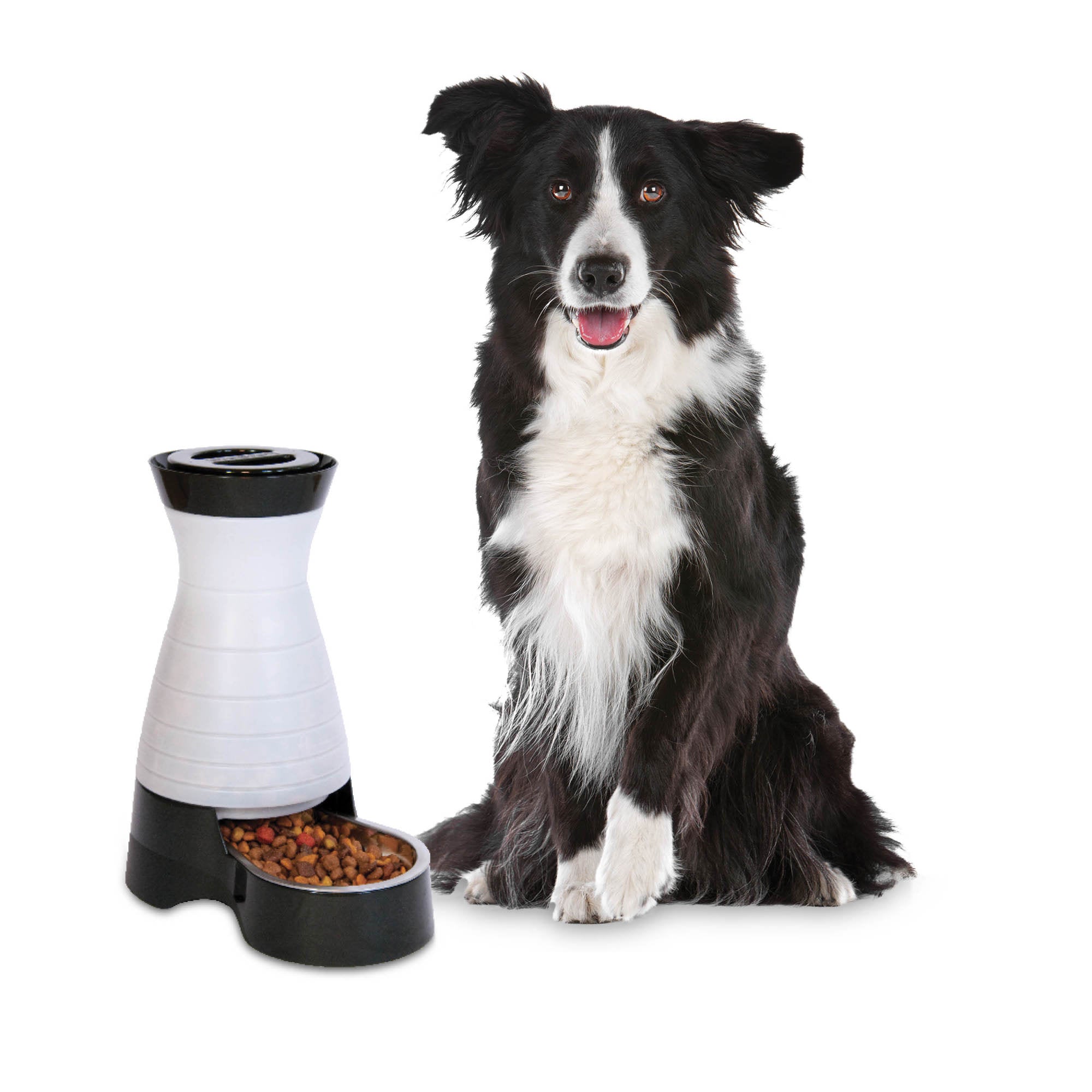 PetSafe Healthy Pet Food Station Gravity Feeder, Medium