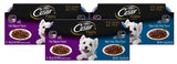 Cesar Beef Flavor Wet Dog Food, 3.5 oz. (12 Pack)