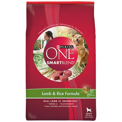 Purina ONE Lamb & Rice Dry Dog Food, 31.1 lbs.