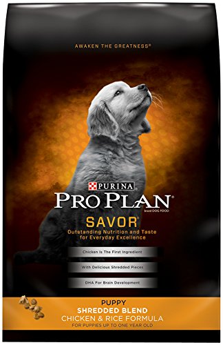 Purina Pro Plan Development Puppy Chicken & Rice - High Protein 18lb