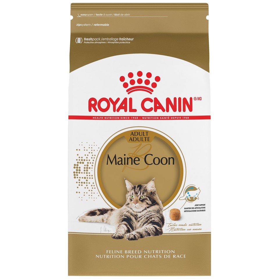 Royal Canin Maine Coon Adult Dry Cat Food 6lb Bag
