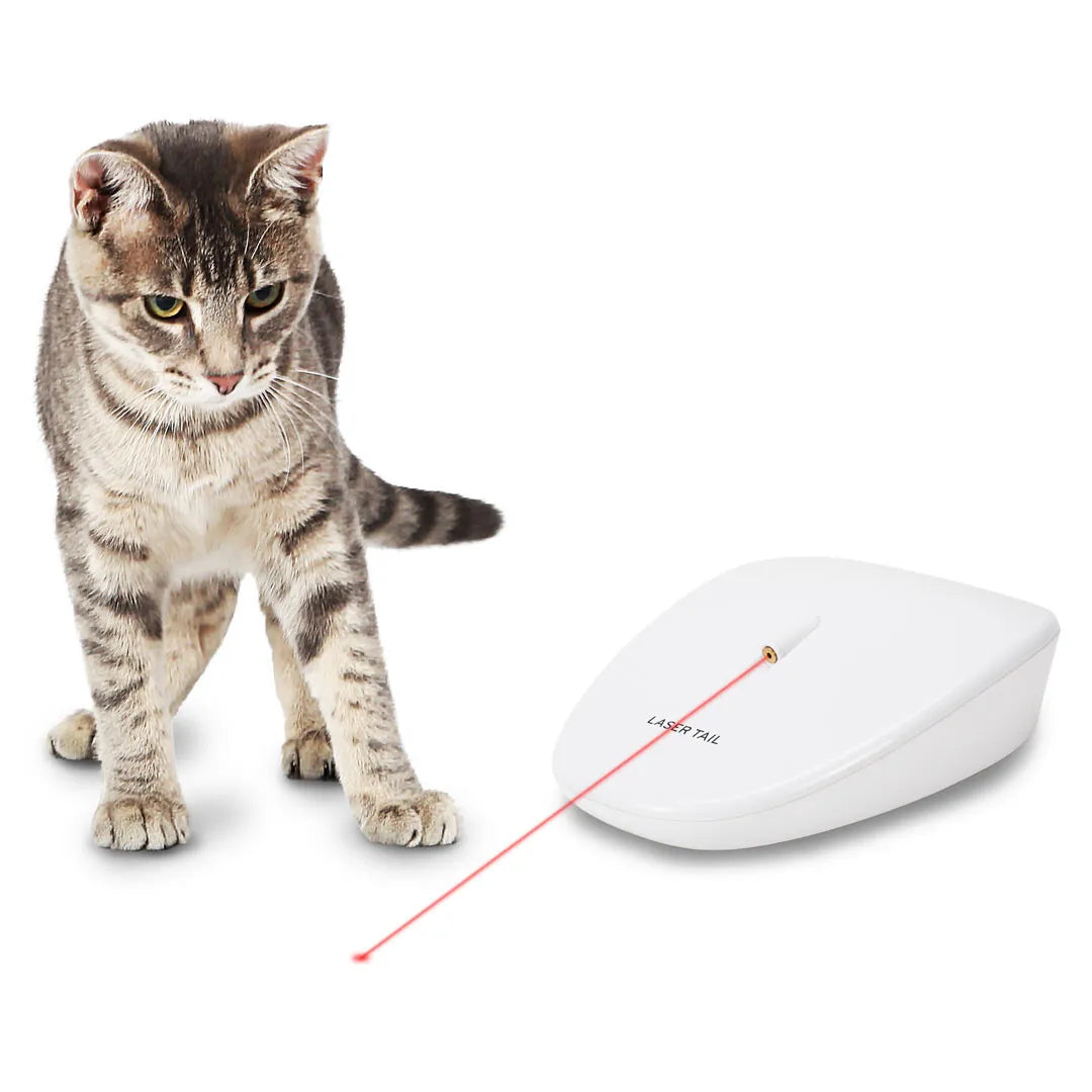 PetSafe Laser Tail Interactive Cat Toy
