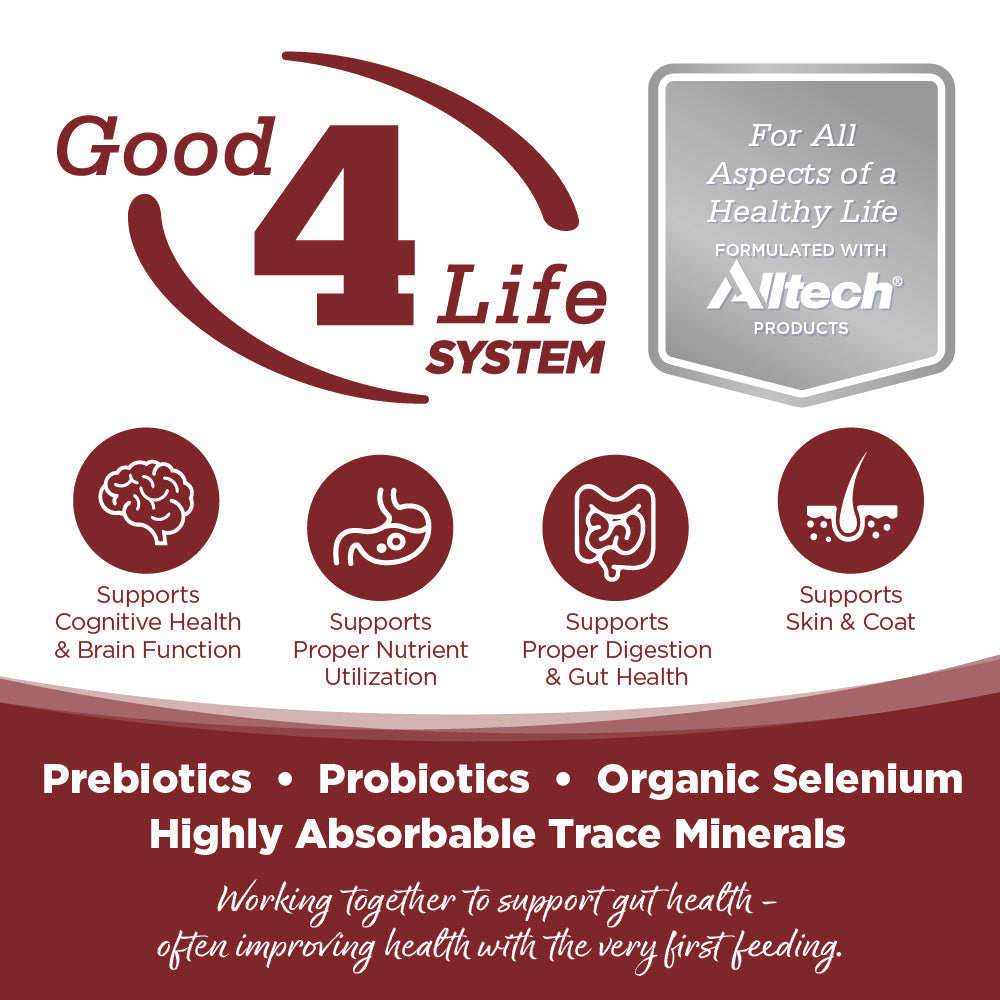 NutriSource Field & Forest Harvest Selects Wet Dog Food, 12.3 oz.