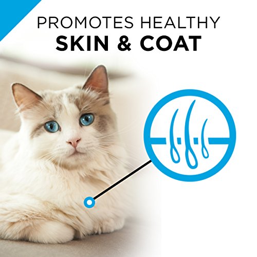 Purina Pro Plan Arctic Char Wet Cat Food, 3 oz.